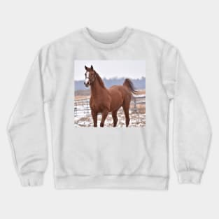 Verrazano filly Crewneck Sweatshirt